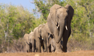 Tanzania