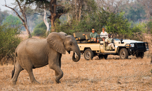 Zambia