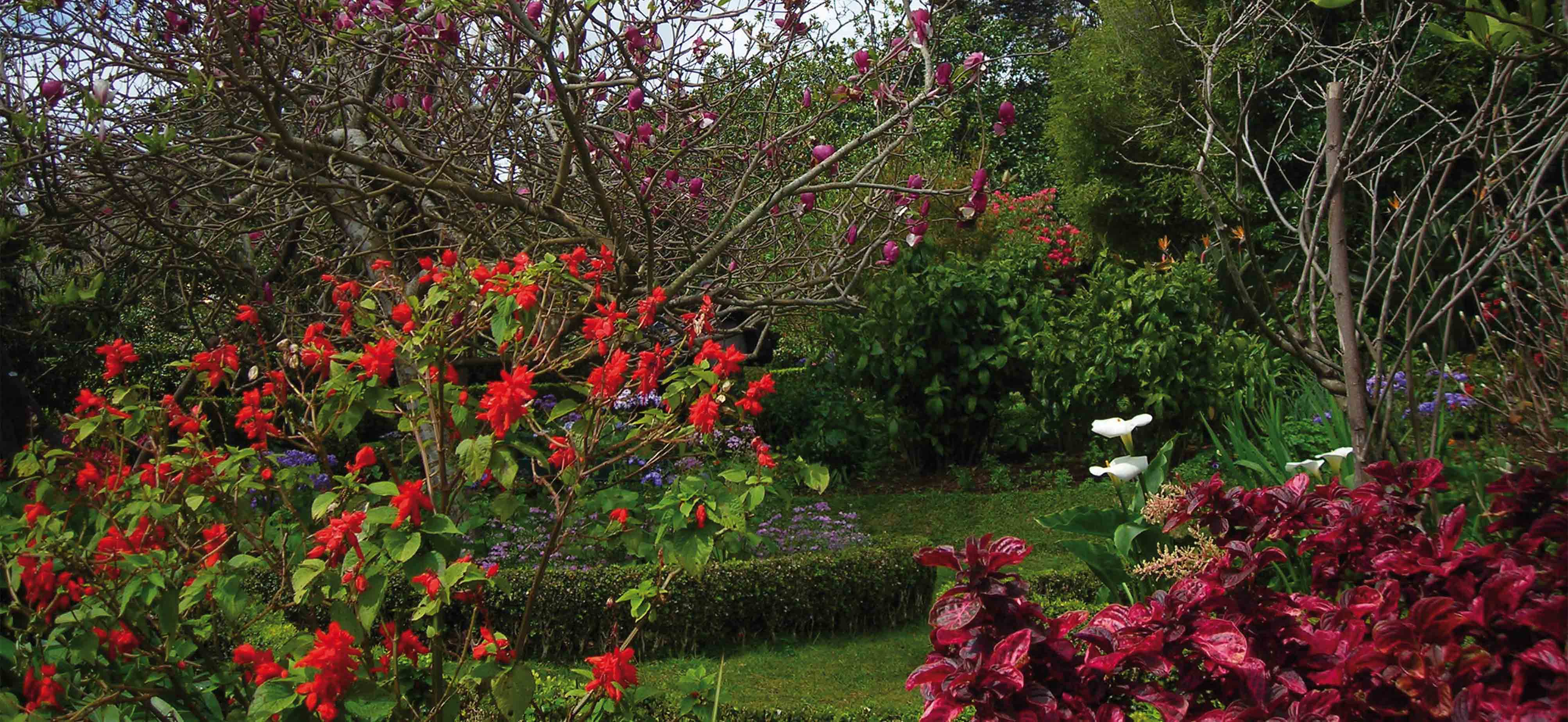 garden tours madeira