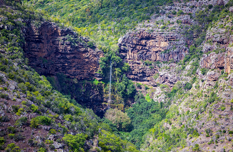 Airlink To St Helena South Africa Tours Jules Verne