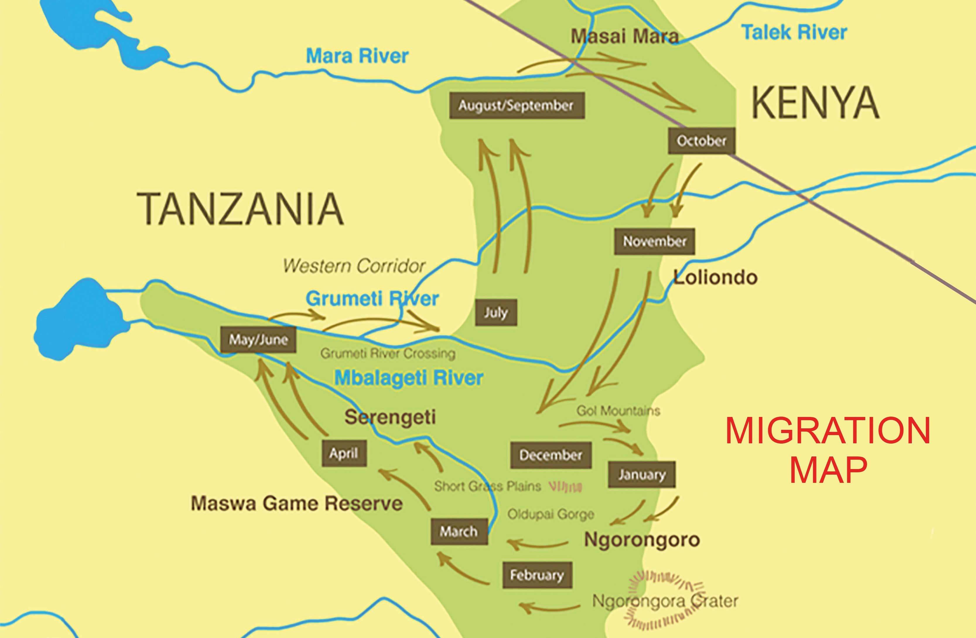 Serengeti and the Secret Migration | 2021 Tour | Jules Verne