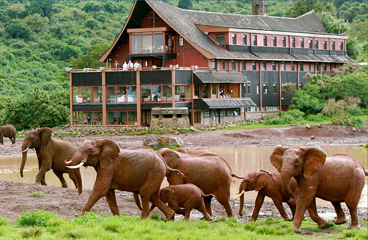 jules verne kenya safari