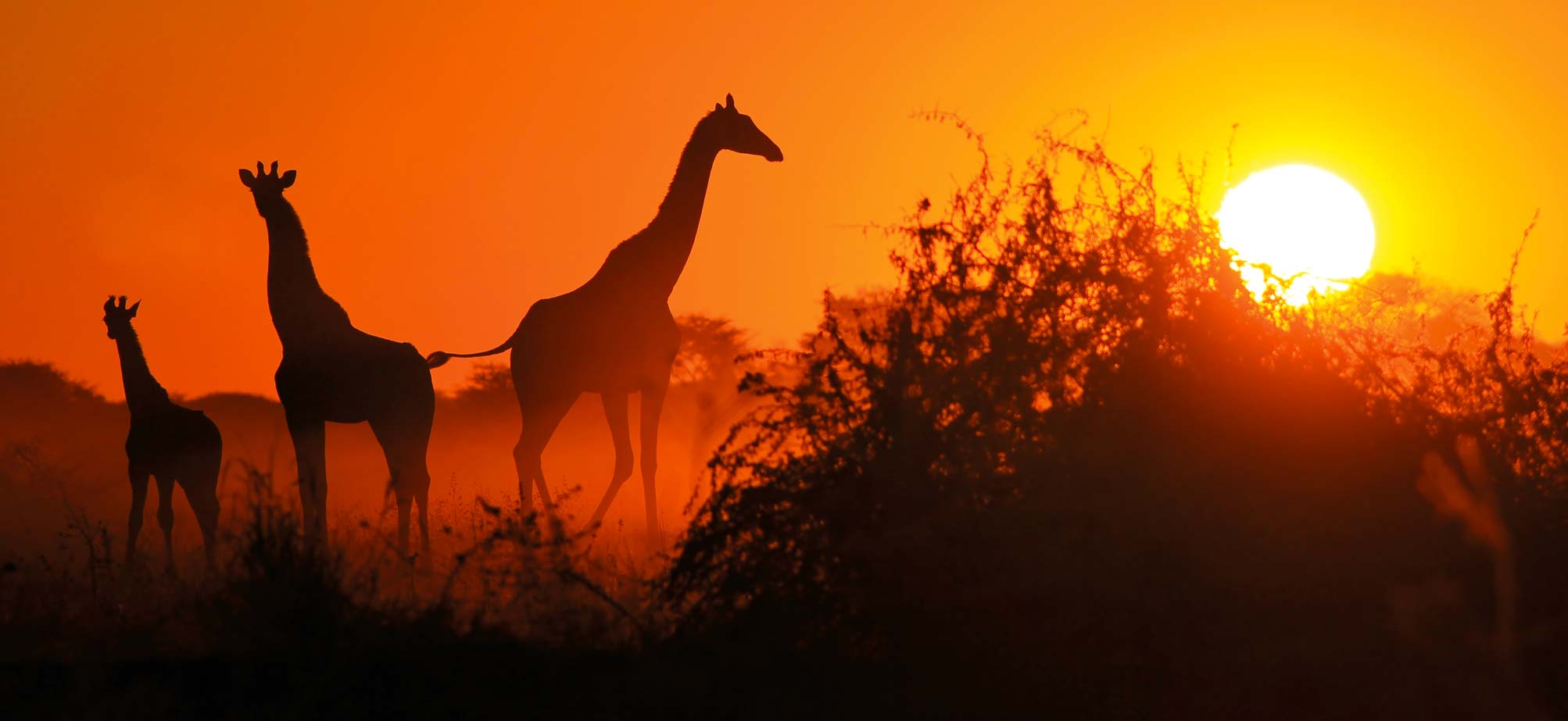 Kenya Escorted Tours | Kenya Safaris & Tours | Jules Verne